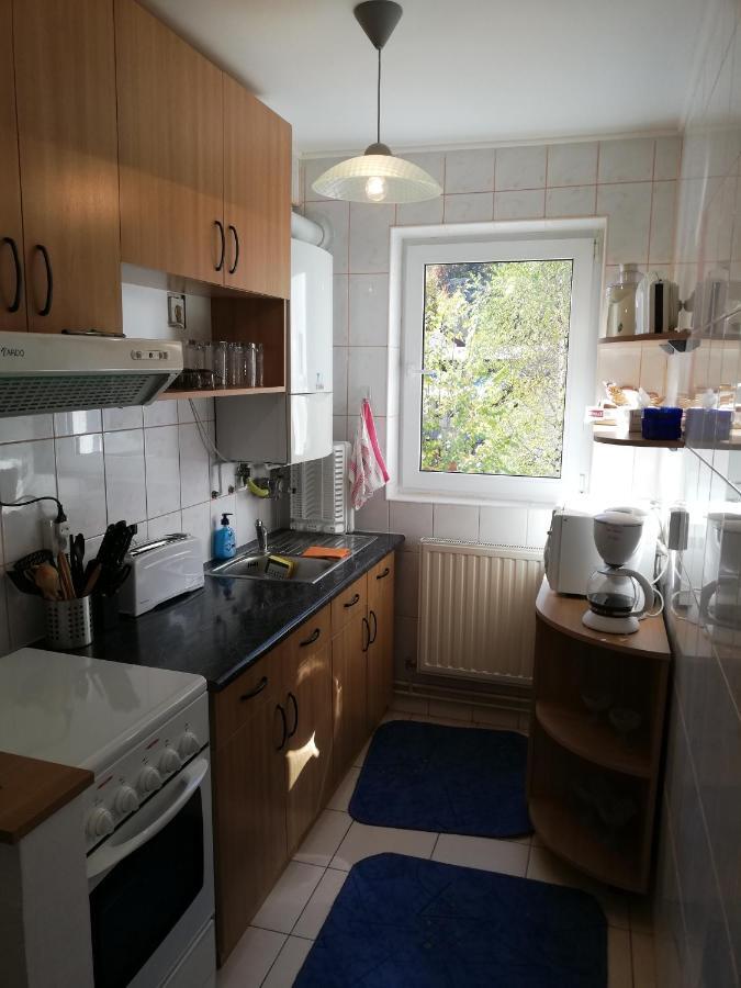 Апартаменты Apartament Langa Castan Азуга Экстерьер фото